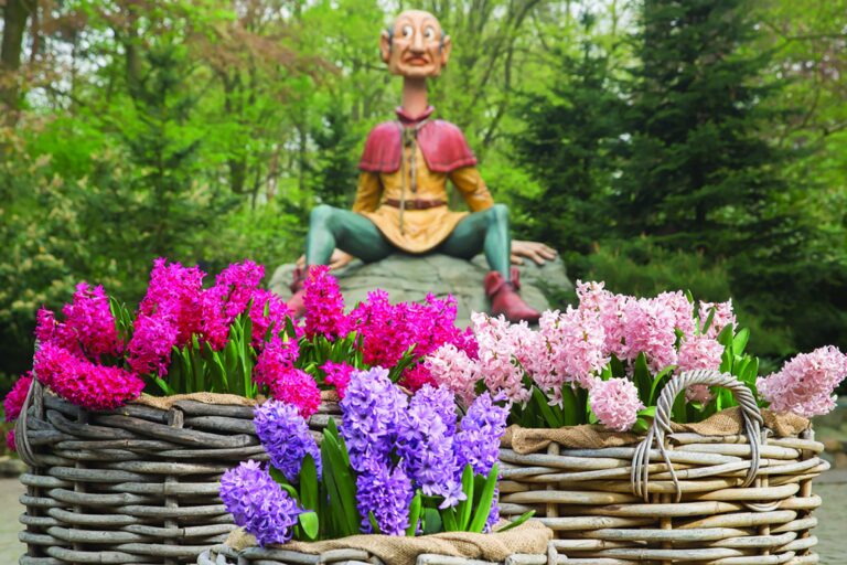 Efteling arrangement Postillion